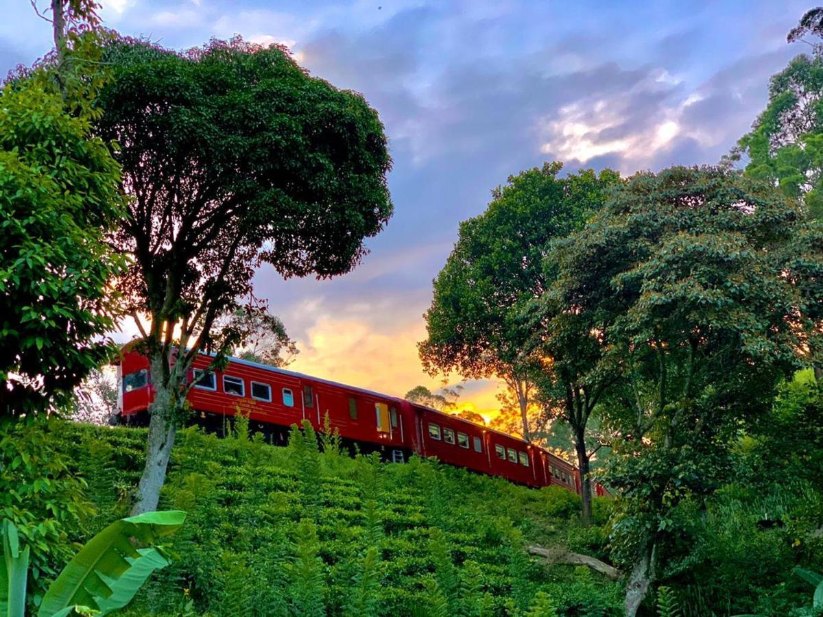 فندق Train View Chalet باندارافيلا المظهر الخارجي الصورة