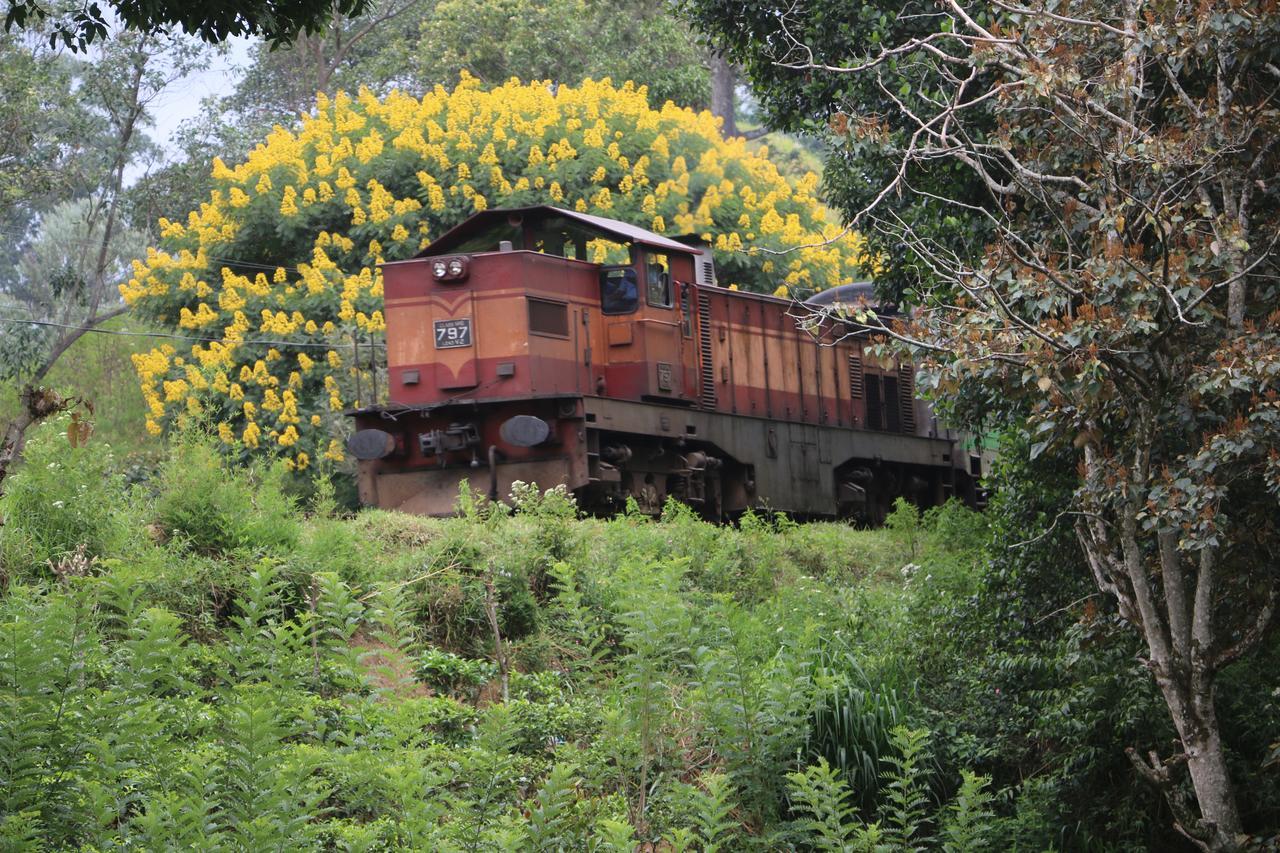 فندق Train View Chalet باندارافيلا المظهر الخارجي الصورة