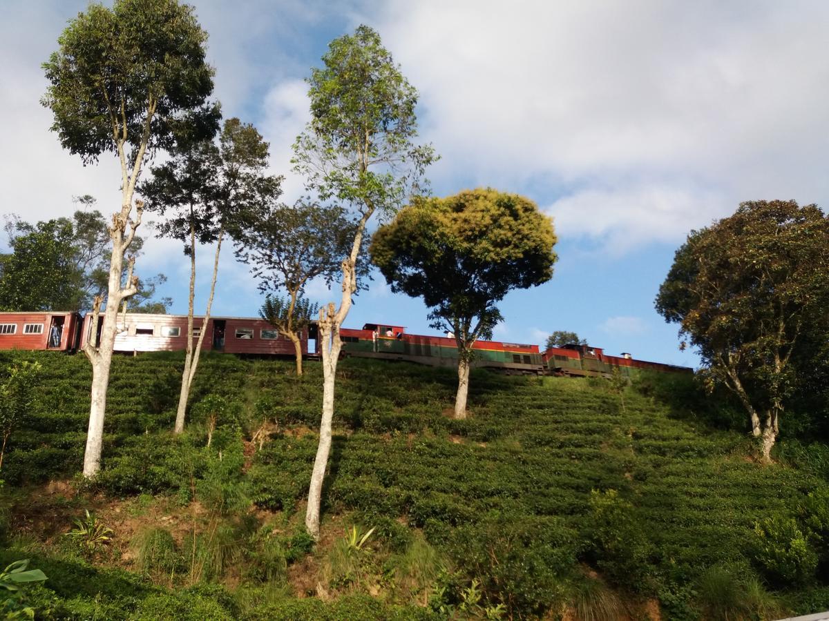 فندق Train View Chalet باندارافيلا المظهر الخارجي الصورة